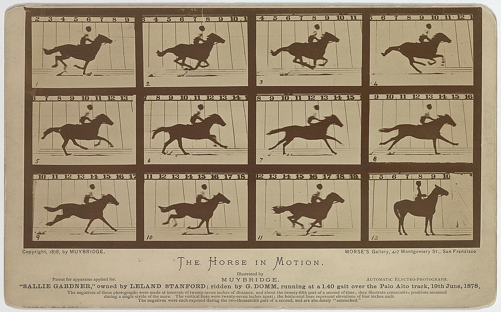 Eadweard Muybridge. *The Horse in Motion*. (1878)